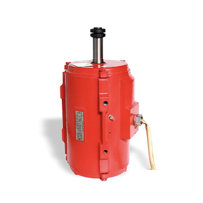 風(fēng)機(jī)用系列三相異步電動機(jī)